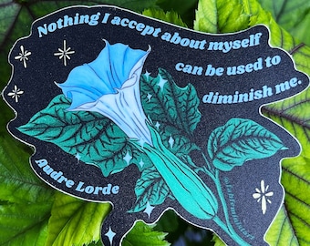 May include: A black and green sticker with a blue flower and the quote "Nothing I accept about myself can be used to diminish me." by Audre Lorde.