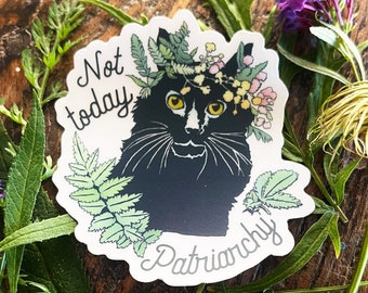 Feminist Stickers: Not Today Patriarchy, warrior cats