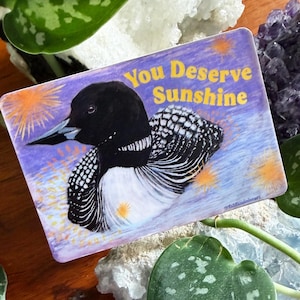 K&ouml;nnte beinhalten: Ein rechteckiger Aufkleber mit einer Illustration eines Eistauchers und dem Text "You Deserve Sunshine" auf lila Hintergrund. Der Aufkleber ist von gr&uuml;nen Bl&auml;ttern, Kristallen und einer Holzoberfl&auml;che umgeben.
