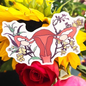 Feminist Stickers: Uterus, pro choice, obgyn gift, reproductive justice