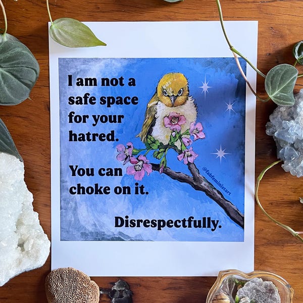 Póster artístico de pájaros juguetones: No soy un espacio seguro para tu odio, decoración del hogar original, afirmación, lámina feminista