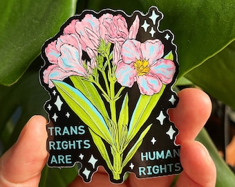 Feminist Sticker: Trans Rights Are Human Rights, lgbt stickers