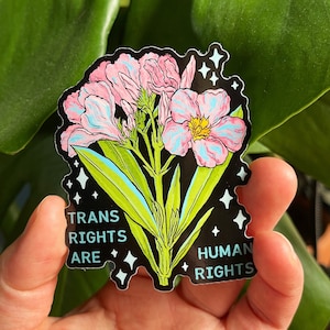 May include: A sticker with a pink and blue flower with green leaves and sparkling stars. The text "Trans Rights Are Human Rights" is written on the sticker.
