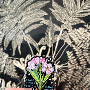 May include: A clear acrylic sticker with a pink and blue flower design. The sticker has the text "Trans Rights Are Human Rights" in black and blue lettering.