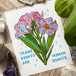 Queer Art: Trans Rights Are Human Rights, genderfluid image 2