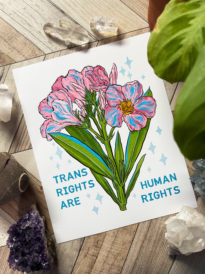 Queer Art: Trans Rights Are Human Rights, genderfluid image 2