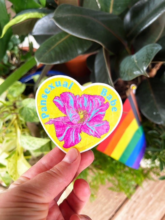 lgbtq stickers: pansexual babe, pansexual