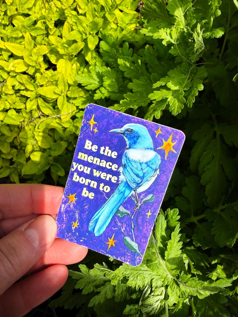 May include: A rectangular sticker with a blue bird illustration on a purple background, surrounded by yellow stars. The sticker has the text "Be the menace you were born to be". The sticker is held against a backdrop of green foliage.
