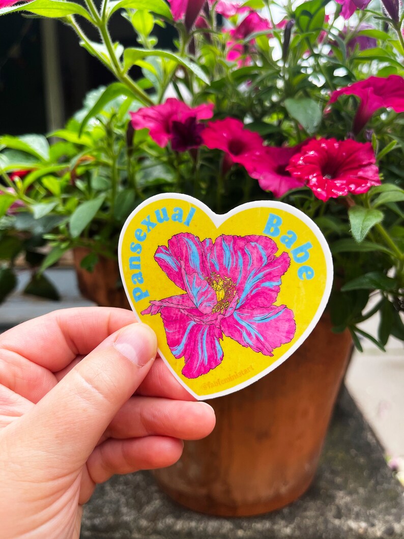lgbtq stickers: pansexual babe, pansexual image 3