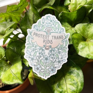 Feminist Sticker: Protect Trans Kids, lgbt stickers