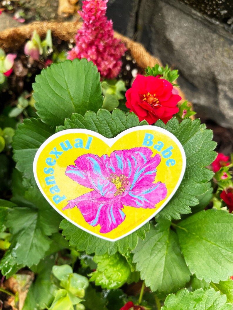 lgbtq stickers: pansexual babe, pansexual image 8