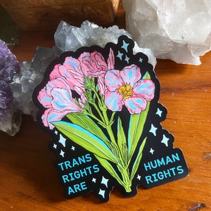 May include: A black and white sticker featuring a pink and blue flower illustration. The sticker reads "Trans Rights Are Human Rights" in a blue font.