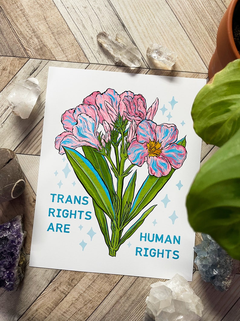 Queer Art: Trans Rights Are Human Rights, genderfluid image 3