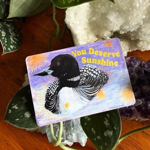 K&ouml;nnte beinhalten: Ein rechteckiger Aufkleber mit einer detaillierten Illustration eines Eistauchers. Der Eistaucher hat schwarze, wei&szlig;e und graue Federn, vor einem lila und gelben Hintergrund. Der Text "You Deserve Sunshine" ist gelb geschrieben. Der Aufkleber liegt auf einer Holzoberfl&auml;che.