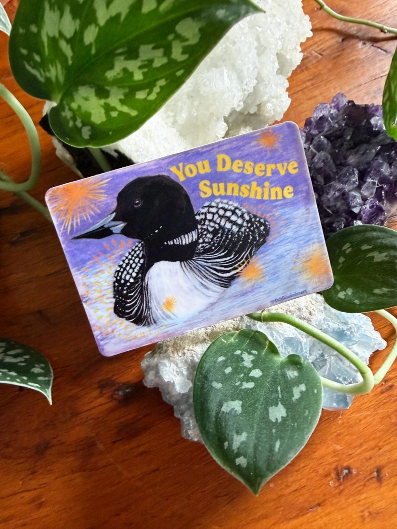 K&ouml;nnte beinhalten: Ein rechteckiger Aufkleber mit einer Illustration eines Eistauchers und dem Text "You Deserve Sunshine" auf lila Hintergrund. Der Aufkleber ist von gr&uuml;nen Bl&auml;ttern, Kristallen und einer Holzoberfl&auml;che umgeben.