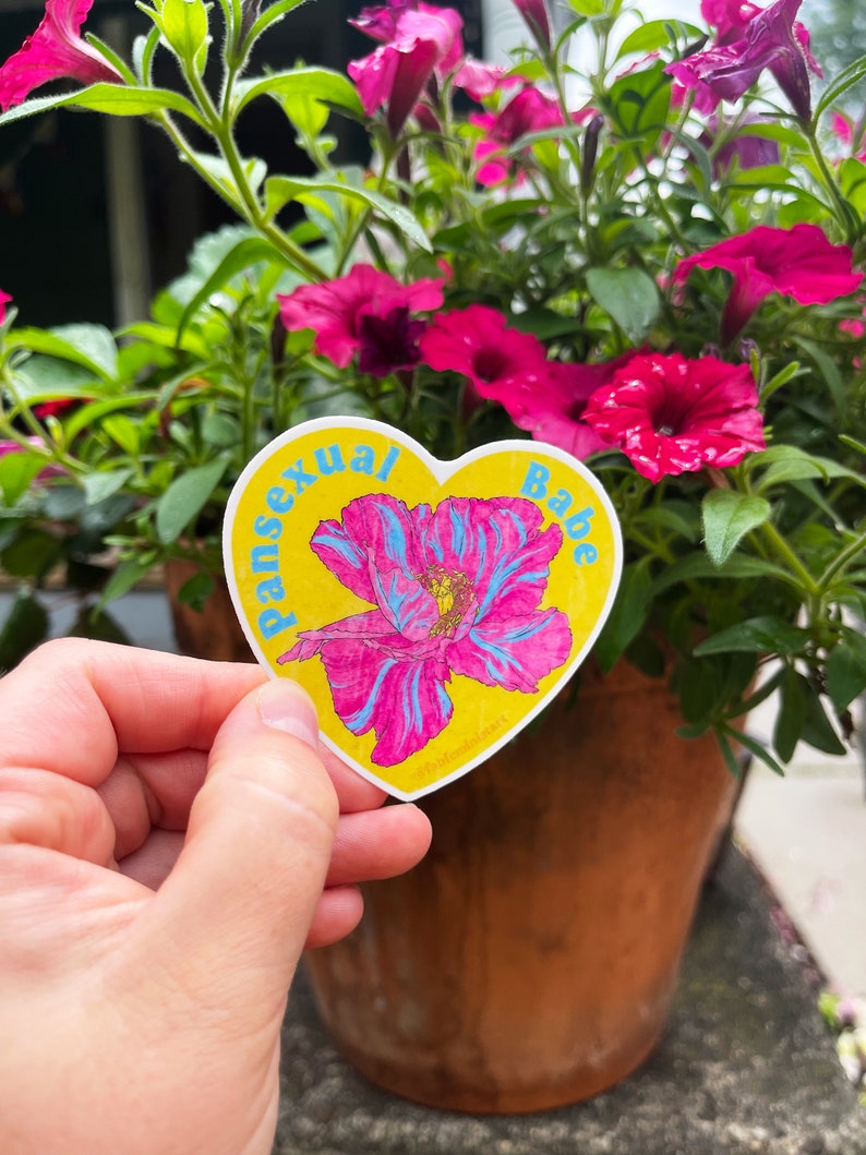 lgbtq stickers: pansexual babe, pansexual image 7