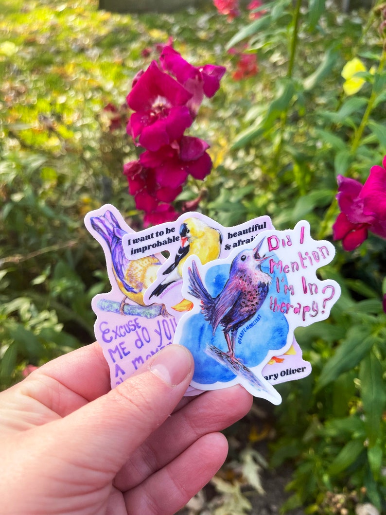 K&ouml;nnte beinhalten: Eine Hand, die eine Sammlung farbenfroher Vogelaufkleber h&auml;lt. Jeder Aufkleber zeigt eine Aquarellillustration eines Vogels mit Text wie "I want to be improbable" und "Did I mention I'm in therapy?"