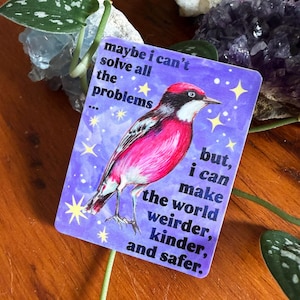 Pode incluir: Um autocolante retangular com um fundo roxo e uma ilustração colorida de um pássaro. O autocolante tem o texto: "talvez eu não consiga resolver todos os problemas... mas posso tornar o mundo mais estranho, gentil e seguro."