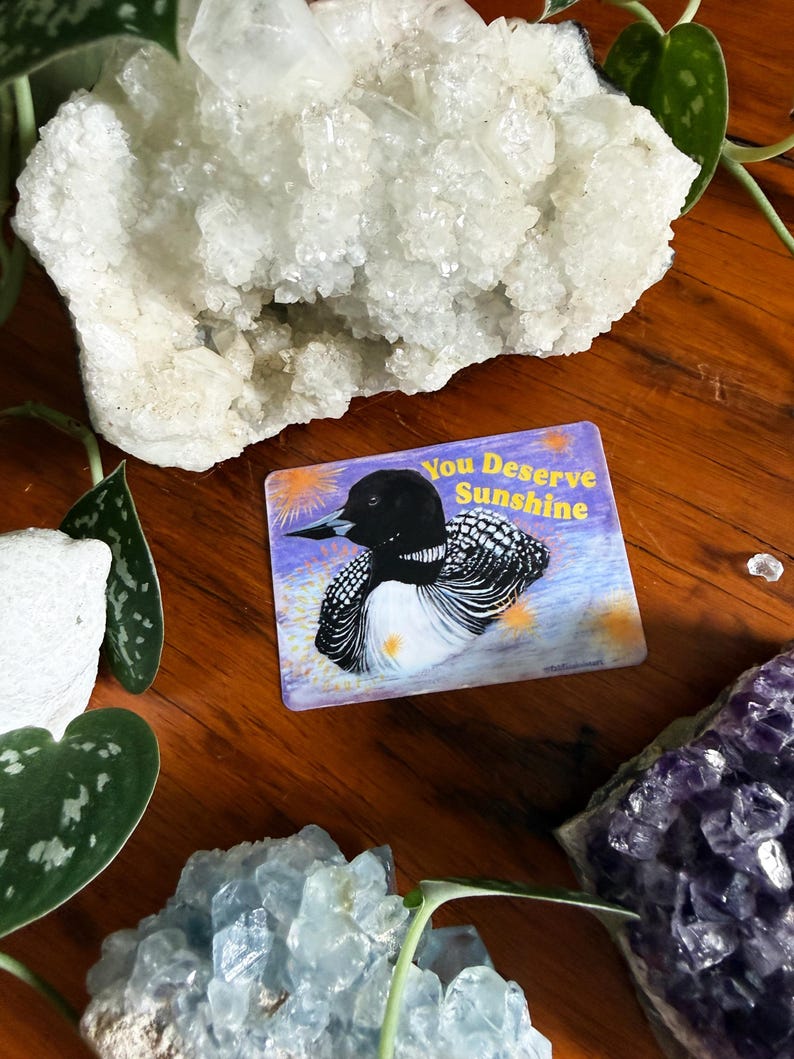 K&ouml;nnte beinhalten: Ein rechteckiger Aufkleber mit einem Gem&auml;lde eines schwarz-wei&szlig;en Vogels mit dem Text "You Deserve Sunshine" auf einem lila und gelben Hintergrund. Der Aufkleber ist von Kristallen und Gr&uuml;n umgeben.
