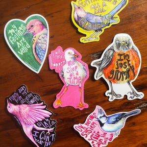 K&ouml;nnte beinhalten: Eine Sammlung farbenfroher Vogelaufkleber mit verschiedenen Designs und Texten. Ein Aufkleber ist herzf&ouml;rmig mit einem Vogel und dem Text "My Feelings Are Valid". Weitere Aufkleber enthalten S&auml;tze wie "I'm just grumpy" und "OK nervous system".