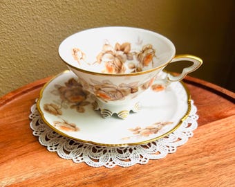 Vintage Mitterteich Barvaria Brown Rose Pattern Teacup and Saucer