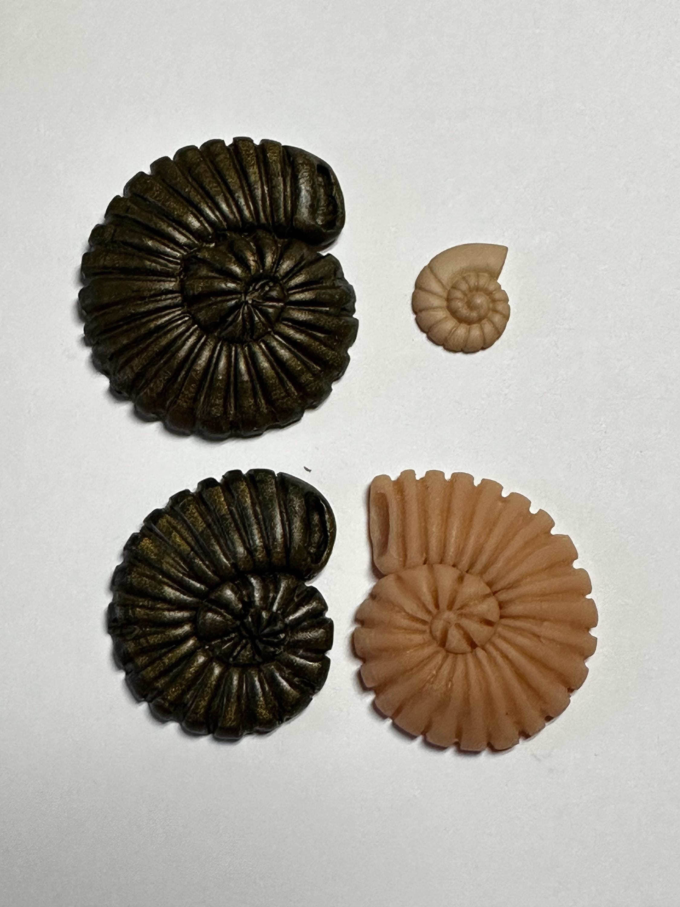 NAUTILUS/AMMONITE Shell Flexible Mold - Choose From Three Sizes - Etsy