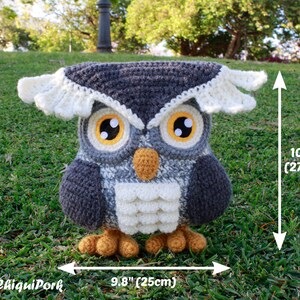 Crochet Owl PATTERN Amigurumi Owl pattern pdf tutorial Eric the Owl image 10