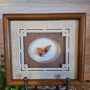 May include: A framed artwork featuring two small, light brown seed pods on a white background. The frame is made of wood with a brown finish and has a decorative white border. The artwork is displayed on a metal easel.
