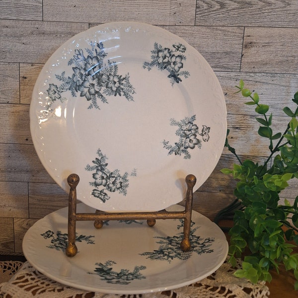 Set of 2 Vntg. Century Teal Transferware Salad plates, Teal Floral, Semi Porcelain, Cottage core, Grandma Chic