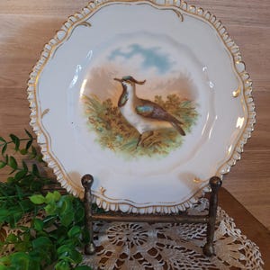 Antique Wurtternberg German Snipe Bird Plate, Gold Trim, Cottage core, Grandma core, Game Bird decor, Hunting Cabin Decor