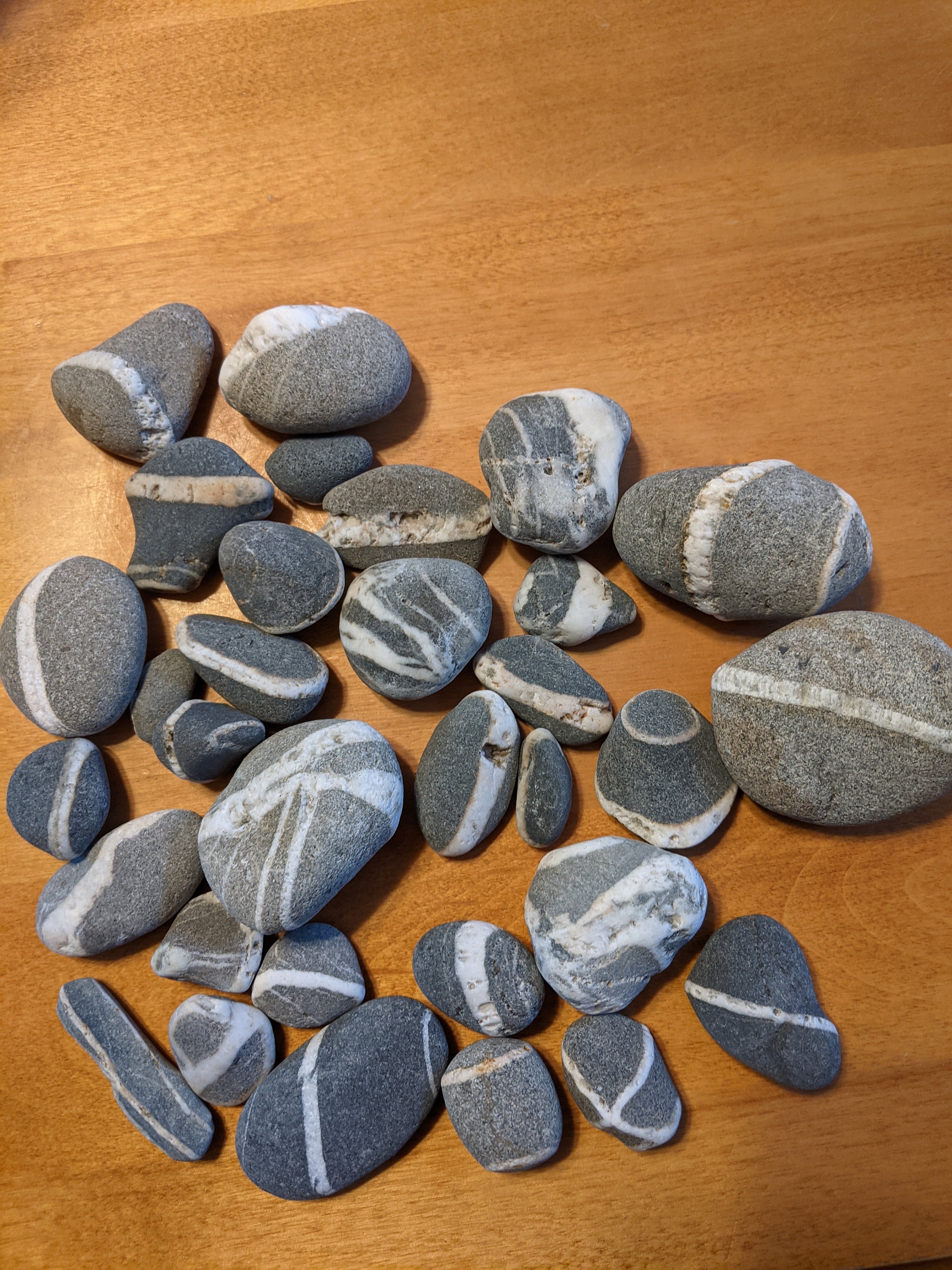Striped Lightweight Rocks 35 Gray White Striped Beach Stones: 3/4