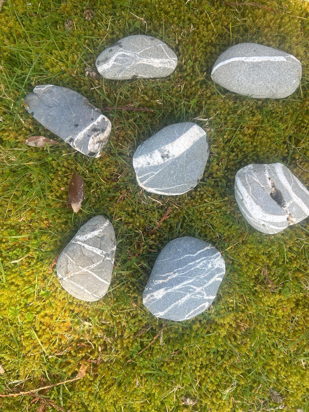 Striped Lightweight Rocks 7 White Striped Beach Rocks, 3”, PNW, Wishing Stone - Etsy