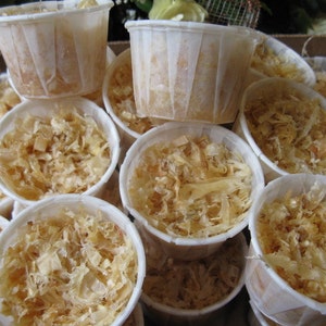 May include: A close-up of several white paper cups filled with shredded wood. The cups are arranged in a pile, with some stacked on top of others.