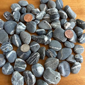 May include: A collection of smooth, gray river stones, many featuring distinct white mineral veins running through their surfaces. Three United States coins, including two copper pennies and one silver-colored dime, are scattered among the rocks.