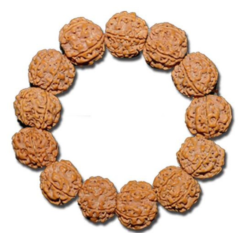 Free Delivery Nepal Vajra Bodhi Bracelet Blasting Double Dragon Pattern Beads Eight Petals Original Seeds Yellow Leather Tibetan bracelet
