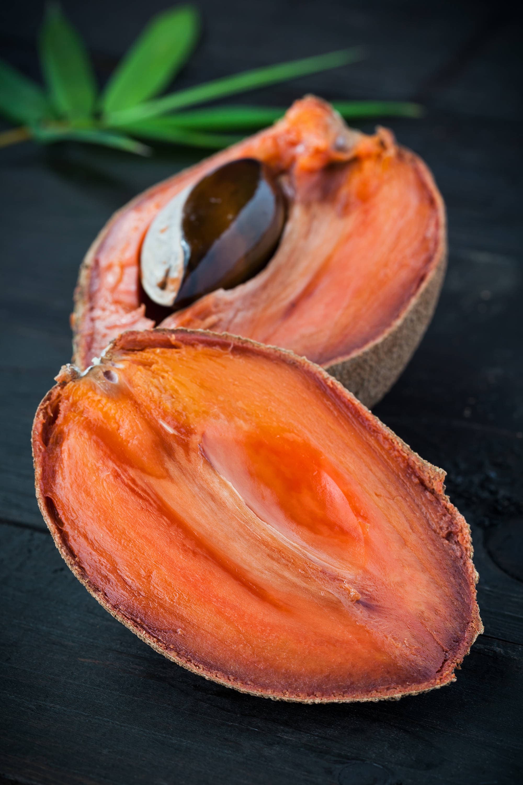 Mamey Sapote 'Magana' Pouteria sapota Live Fruit Etsy