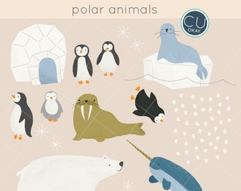 Polar Animals Clip Art Graphics- Penguins Narwhal Walrus - Hand-Drawn Digital Illustrations- Commercial Use Royalty Free - instant download