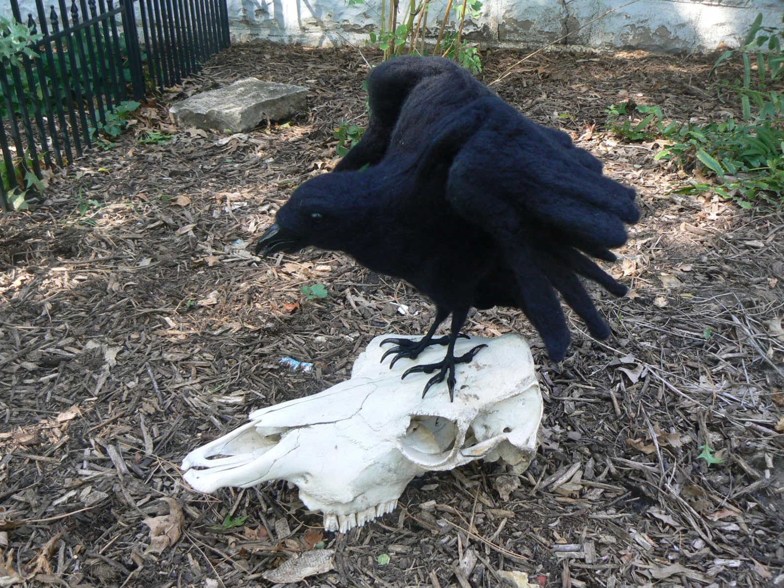 Common Raven, Custom Order - Etsy