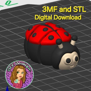 May include: 3MF and STL Digital Download of a red and black ladybug with black dots and white eyes.