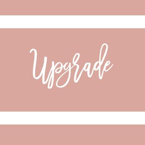Priority Mail Shipping Upgrade for Faster Delivery Options
