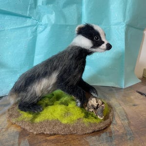 Needle felted realistic young badger sculpture 13” x10”