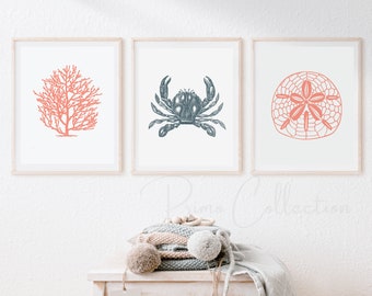 Coastal Sea Life Art Prints, Crab, Coral, Sand Dollar (Digital Download)