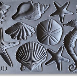 IOD Decor Mould Sea Shells Seashells by Iron Orchid Designs
