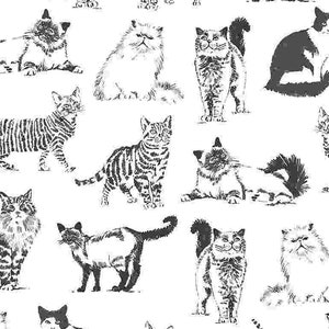 Timeless Treasures - Sketched  Realistic Cats - cat - c8241