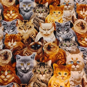 Timeless Treasures Cats C9820-Natural