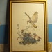 32 24 Large Old Gold Wood Frame Original Signed Vintage Birds Yellow Shafted Flicker Framed Unique Antique Home Wall Decor Decoration Print