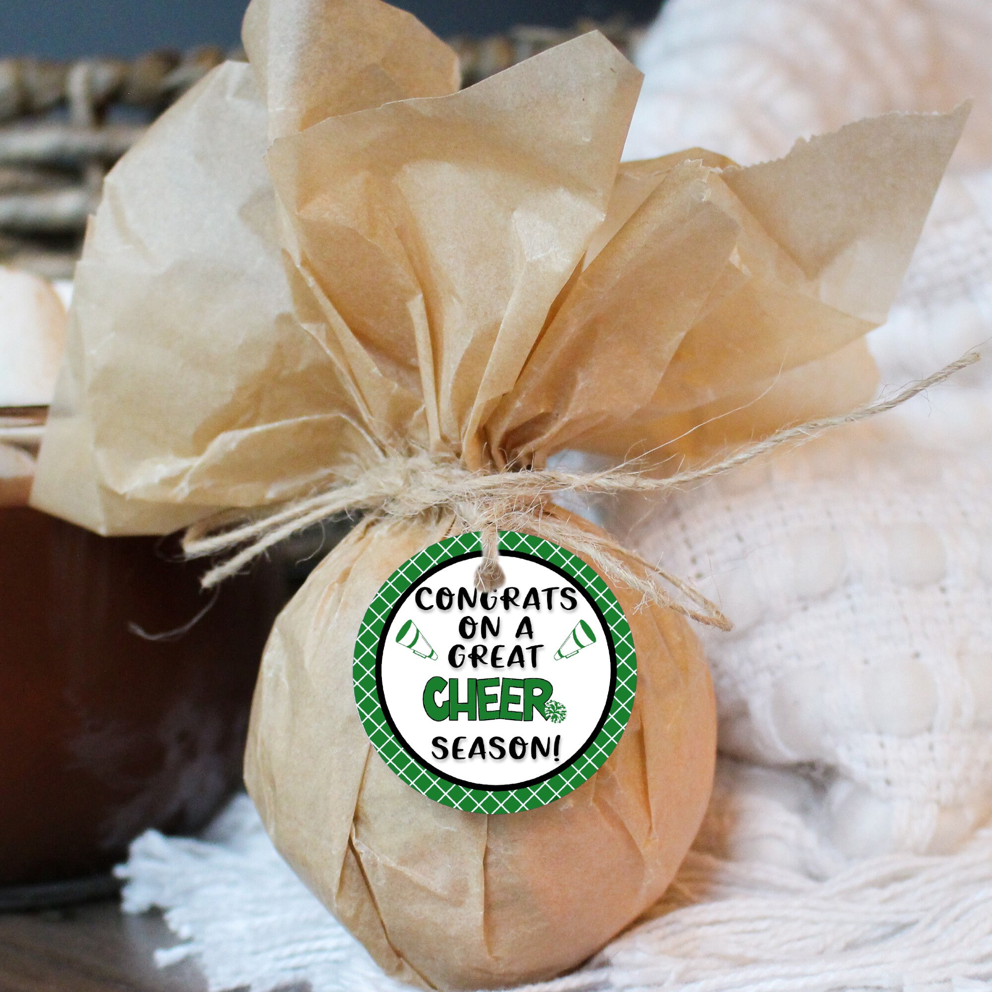 Printable Congrats Cheer Tags, Cheer Team Gifts, Cheer Tags, Senior