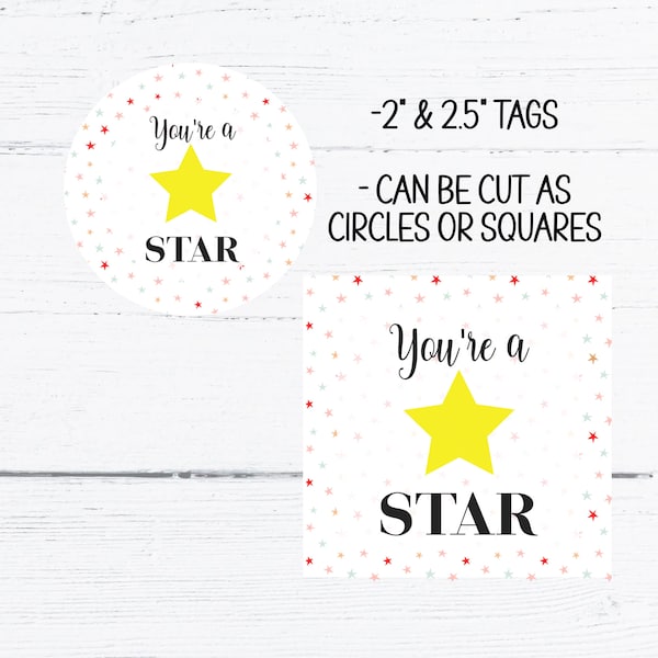 You're a Star Tag, Musical Theatre gifts, Printable Appreciation Tag, Gift for Actors, Staff Appreciation Gift Tag