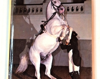 Vintage Book “The Lipizzaners and the Spanish Riding School” by Wofgang Reuter– 1969
