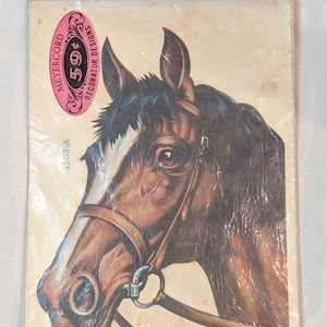 Vintage Decal Horse Head par Meyercord Company – années 1960
